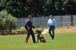 494382155_122155561124448294_8701582387859762588_n