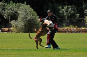 494423540_122155560644448294_6939019761369520760_n