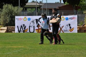 494490200_122155560512448294_210732665867586995_n