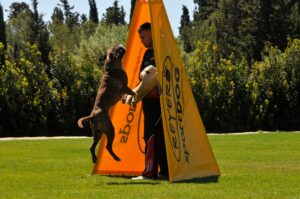 494490670_122155559732448294_4491069663993448438_n