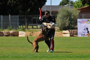 494490700_122155559900448294_3985197720103757154_n