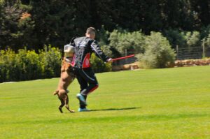 494520230_122155559852448294_8953803740221641397_n