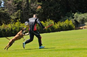 494536685_122155559792448294_9045500374594470027_n