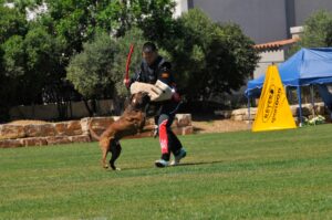 494592333_122155560350448294_3566350185494496342_n