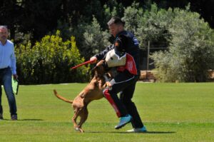 494694336_122155560704448294_8491640354714513725_n