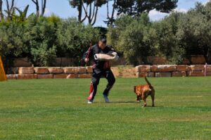 494700467_122155560770448294_7517925016243307750_n