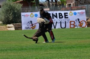 494711897_122155561388448294_3645684171558383387_n