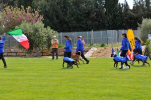 494713741_122155563524448294_5624152145535517808_n