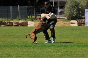 494751450_122155560026448294_8828169946874912799_n