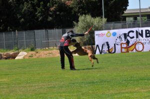 494757018_122155560902448294_7257520169519481610_n