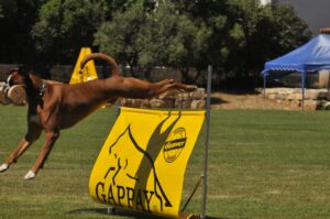 494763797_122155559678448294_6290502043519428563_n