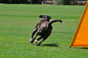 494769656_122155561184448294_8924585587636007188_n