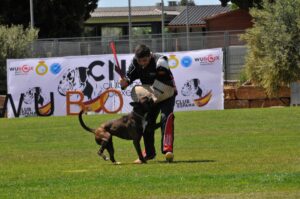 494934637_122155562348448294_2415394870325180705_n