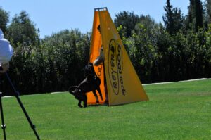 495015206_122155561274448294_7372383564909740959_n