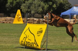 495024884_122155559618448294_2920733868291232071_n