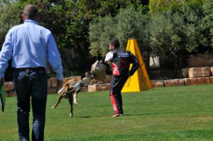 495058145_122155560434448294_8785855768978007453_n