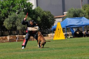 495169910_122155560284448294_8871265121383502945_n