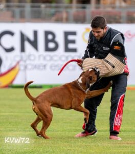 495197267_3102033799950865_712026704856798418_n