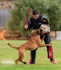 495215005_3102039473283631_1676174851782774407_n