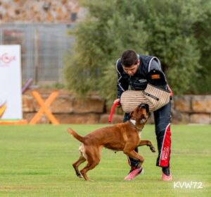 495296717_3101962419958003_544256107943061835_n