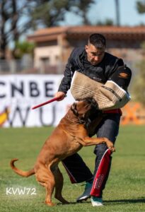 495326158_3101807716640140_1712625234128426234_n