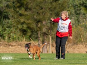 495345688_3103950629759182_5682235628829782390_n