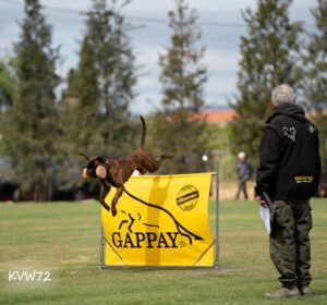 495345707_3101921416628770_120535619053544499_n