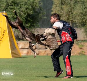 495368966_3101872796633632_3211617832199642696_n