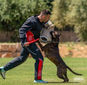 495376719_3101920166628895_3800304525751364139_n