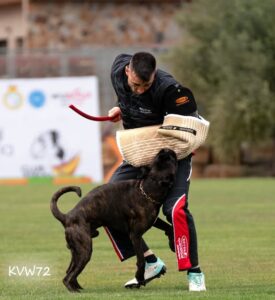 495450812_3103784559775789_8582575350328704369_n