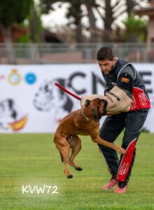 495460483_3102026299951615_2413496945069313173_n