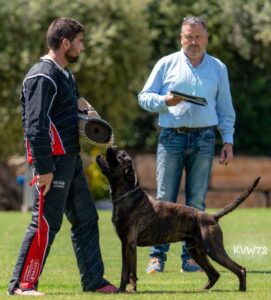 495475511_3105036972983881_5106201243705786515_n