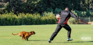 495563656_3102778629876382_2933496255208423392_n