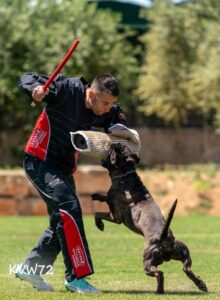 495568010_3101774299976815_7035207417244584652_n