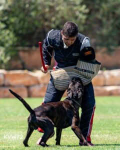 495637186_3103949019759343_6023352837374975471_n