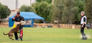 495662200_3104996942987884_6558310068296884019_n