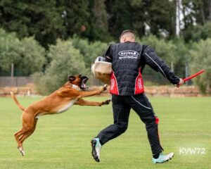 495711737_3103563036464608_3030597220888065367_n