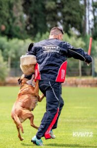 495913158_3105527122934866_3101721567122927285_n