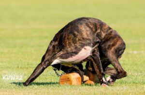 496066574_3103818893105689_3510073898705120559_n