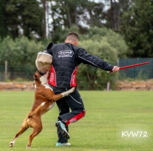 496154452_3106160699538175_7036903955582022563_n