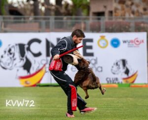 496178054_3104718136349098_1570873355489223632_n