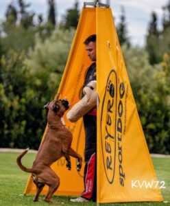 496186727_3105532592934319_7452392734401715635_n