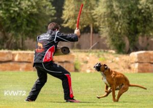 496253162_3103547333132845_2002818466495913748_n