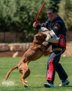 496347029_3103503303137248_8449431421139989853_n