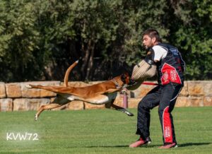 496429124_3103538333133745_6099659781506330131_n