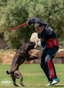 496825074_3106072919546953_2557549264047022190_n