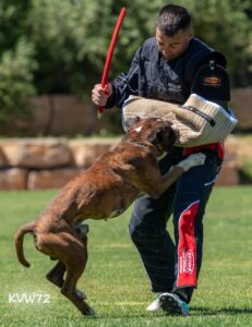 496846033_3105050569649188_929920978571857422_n